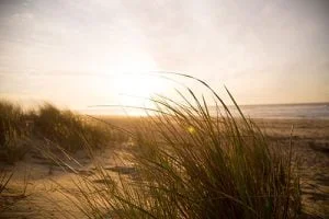 Dunes